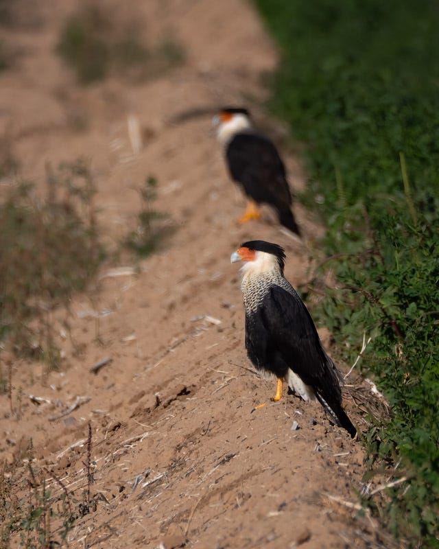 20251204-Manville-253-Edit.jpg 20251204-Manville-253-Edit.jpg