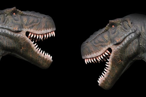 three dinosaur photos, #1 is just a giant open mouth against some out of focus trees in the background, #2 has two dinosaur heads on either side of the frame with mouths open against a black background - it looks like they’re laughing, #3 shows a dinosaur head against a blue to grey background in profile with an orange eye that appears to be looking at the viewer.