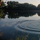 The Ripple Effect of Influence