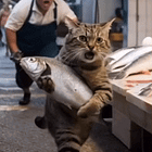 Spilling secrets on omega supplements