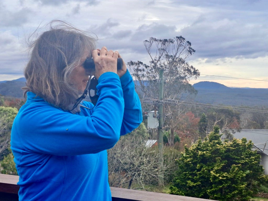 carol probets carol probets