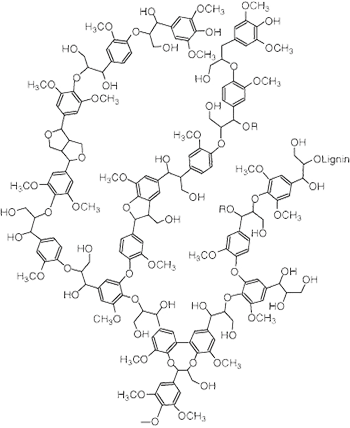 Charcoal molecule Charcoal molecule