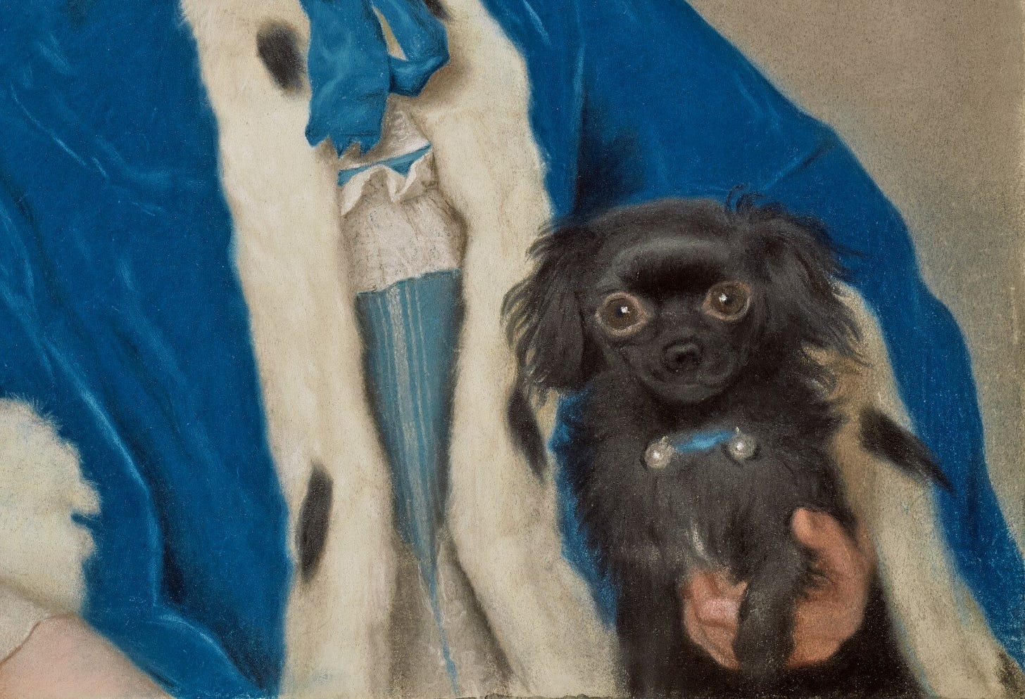 God Dog | Online Only | n+1 | Mina Tavakoli