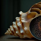 Privacy Is The New Intimacy