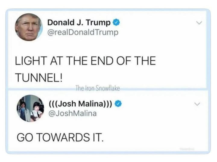 May be an image of 3 people and text that says 'Donald J. Trump @realDonaldTrump LIGHT AT THE END OF THE TUNNEL! The Iron Snowflake (((Josh Malina))) @JoshMalina GO TOWARDS IT.'