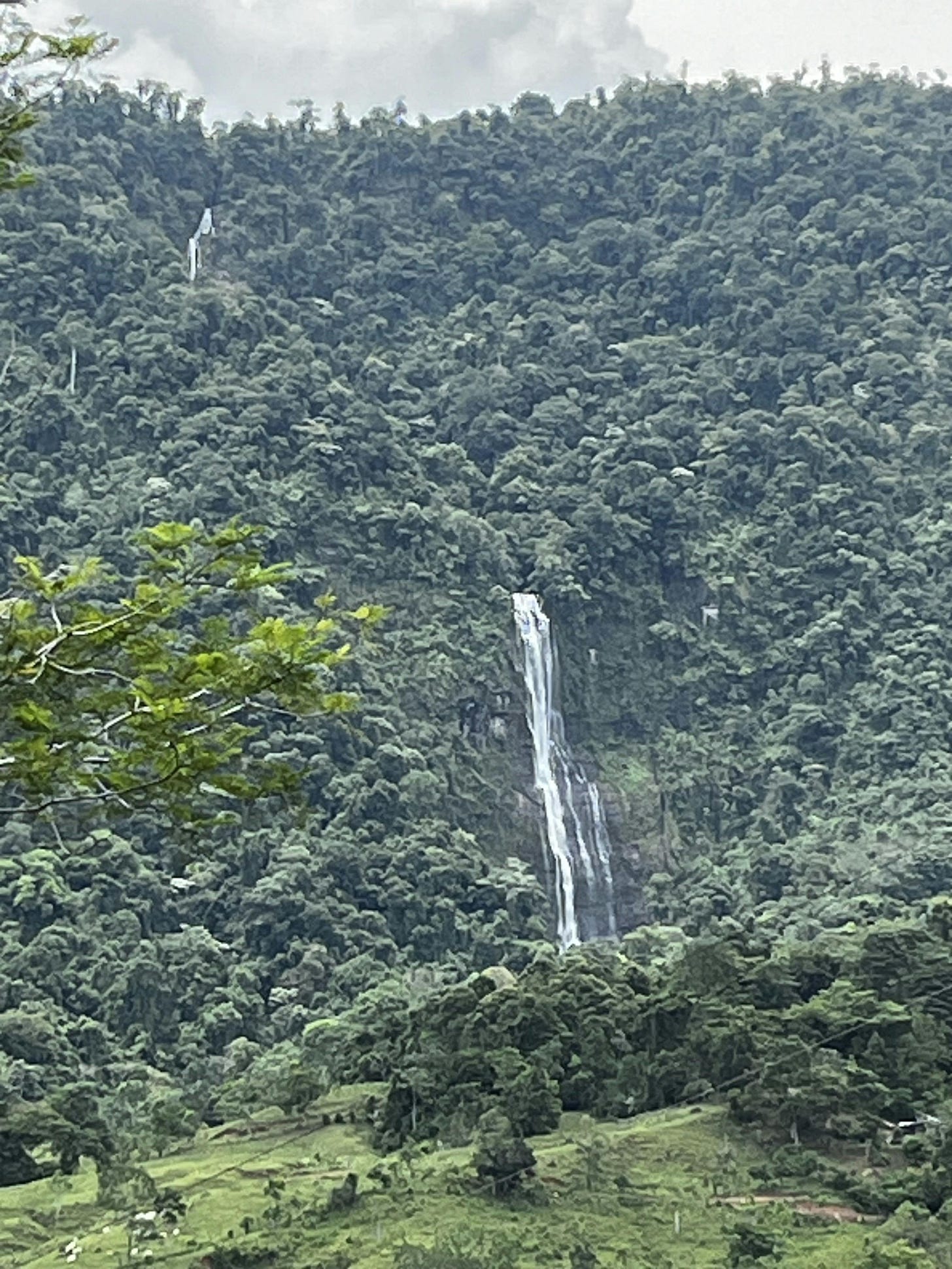 035: To Be, Or Not to Be... 035: To Be, Or Not to Be...