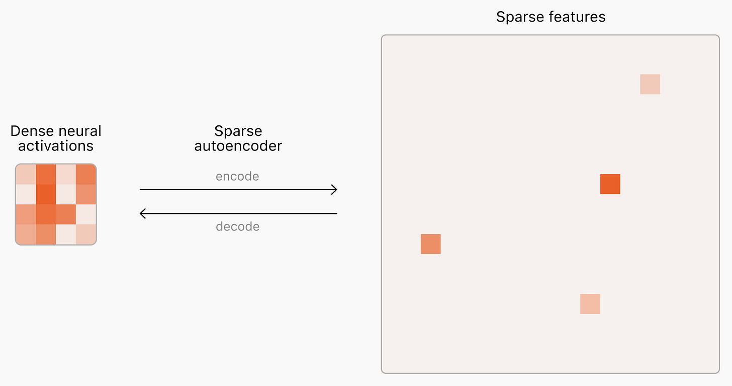 blog sparse autoencoders neural light