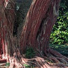 Every day is a new day to learn