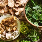 A primer on foraging, part 1: Hello Spring!