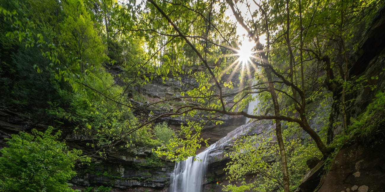 I Will Give You a New Heart