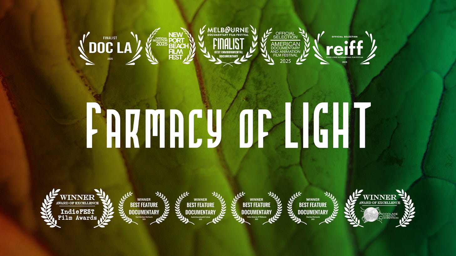Farmacy of Light Farmacy of Light