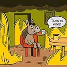 Democrats and the "SAM" Memo