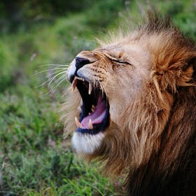 Own Who You Are, Own What You Do