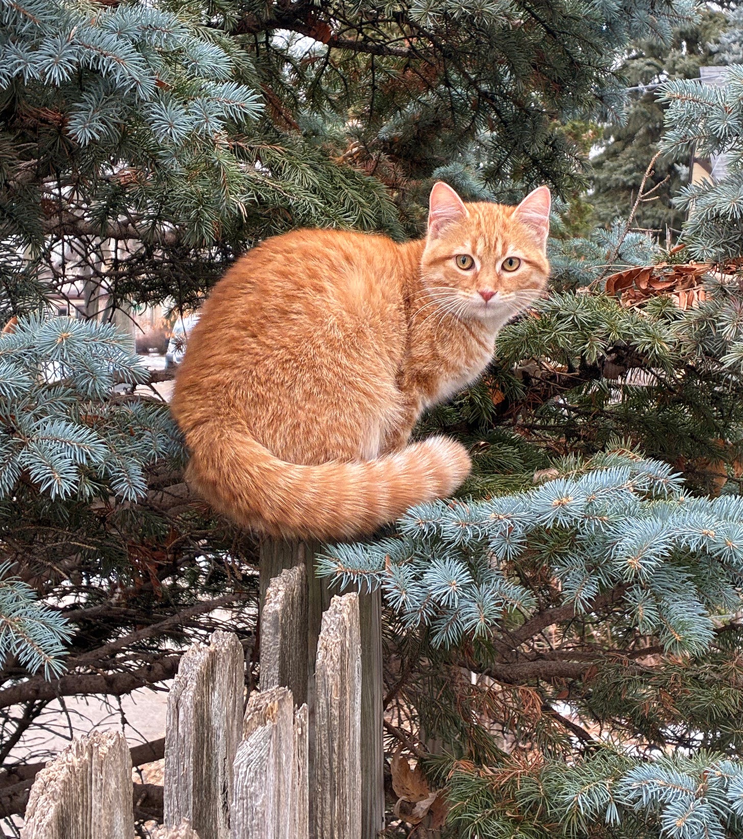 No photo description available. No photo description available.