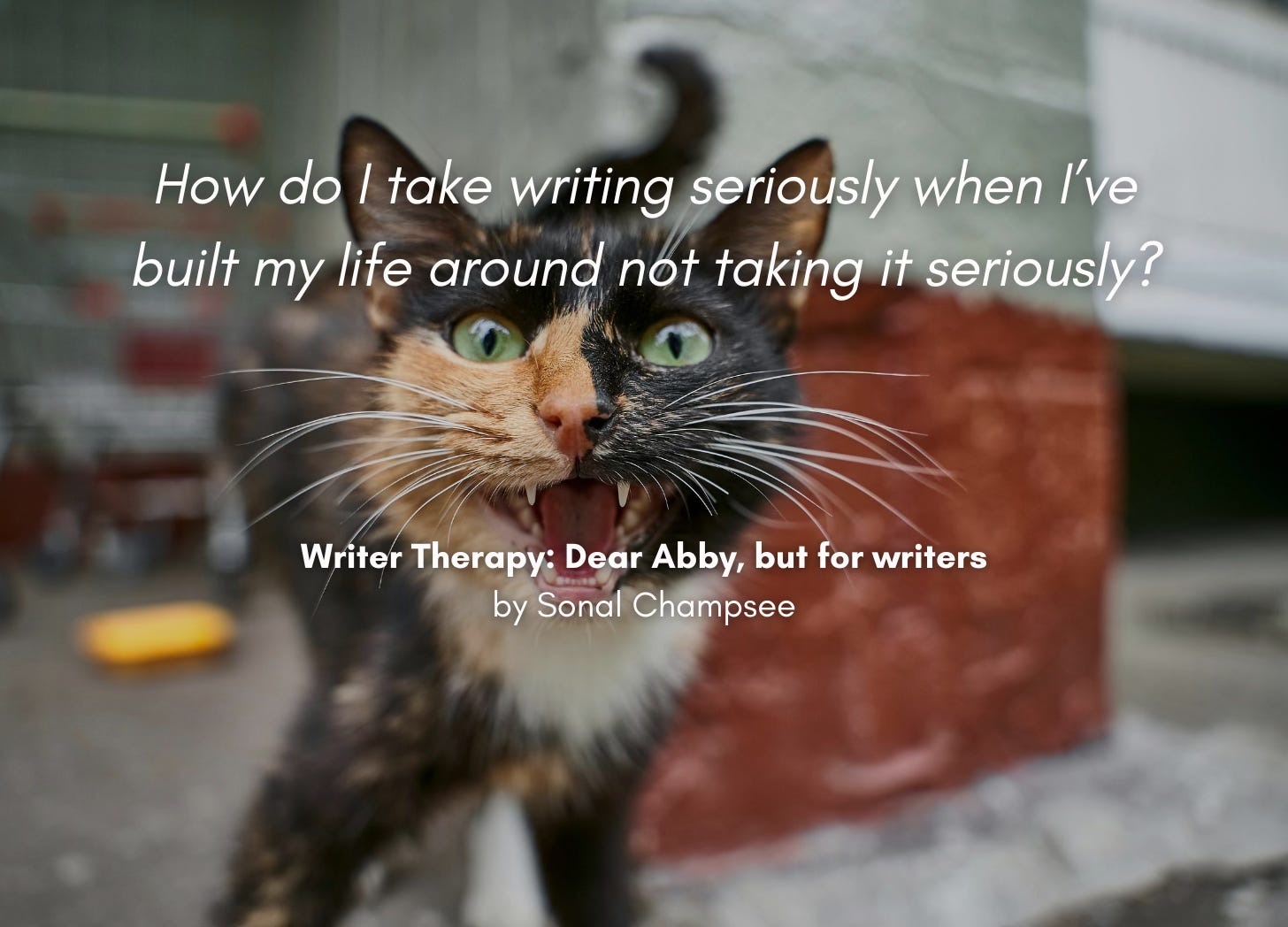 A snarling street cat. "How do I take writing seriously when I've built my life around not taking it seriously?" Writer Therapy: Dear Abby, but for writers, by Sonal Champsee A snarling street cat. "How do I take writing seriously when I've built my life around not taking it seriously?" Writer Therapy: Dear Abby, but for writers, by Sonal Champsee
