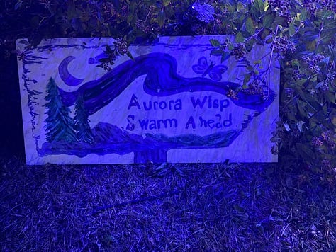 The lit bushes of the Aurora Wisp Swarm.