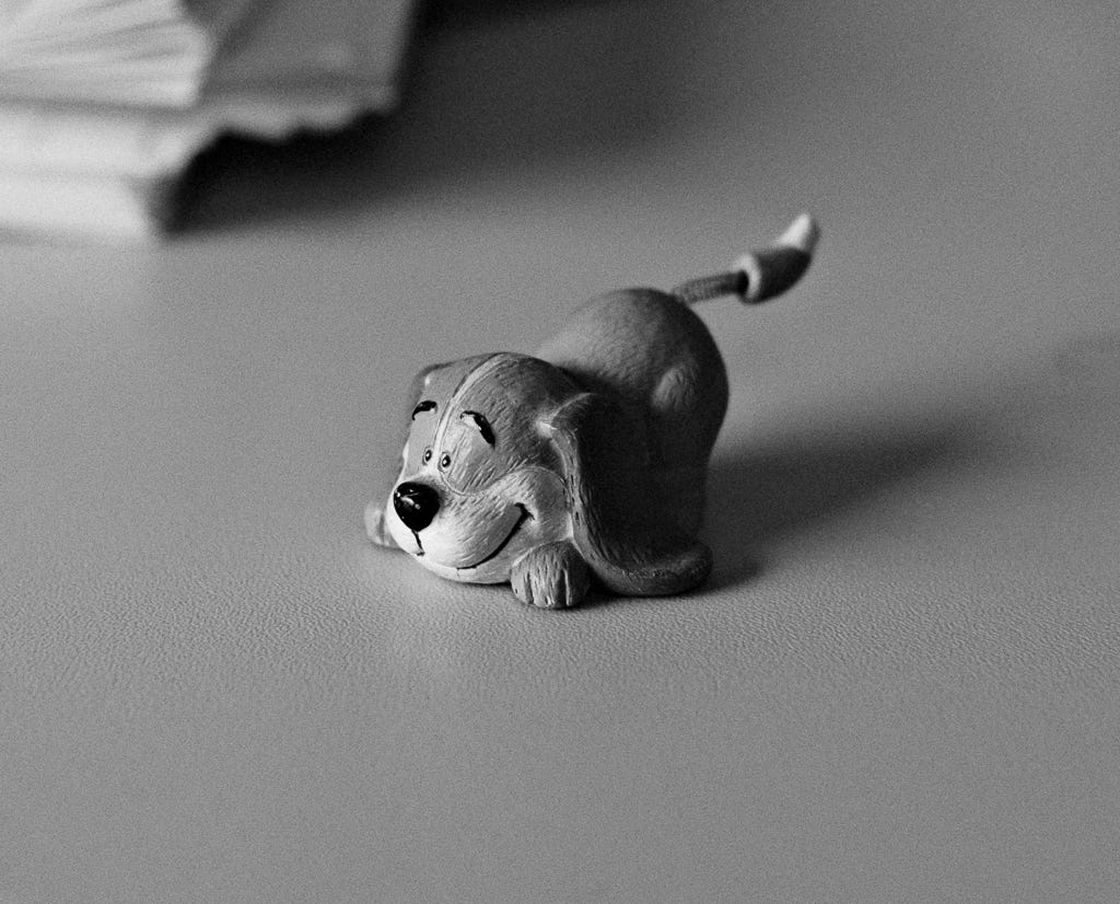 Fotografia di un soprammobile dalle sembianze di un simpatico piccolo canino utilizzando la simulazione pellicola FRGMT B&W per fotocamere Fujifilm