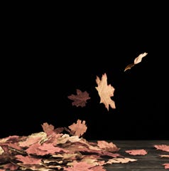 Autumn leaves falling down against a dark background. Autumn leaves falling down against a dark background.