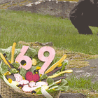 Nobody Loves Raymond's Wife. Tabs, Tues., Apr. 28, 2026