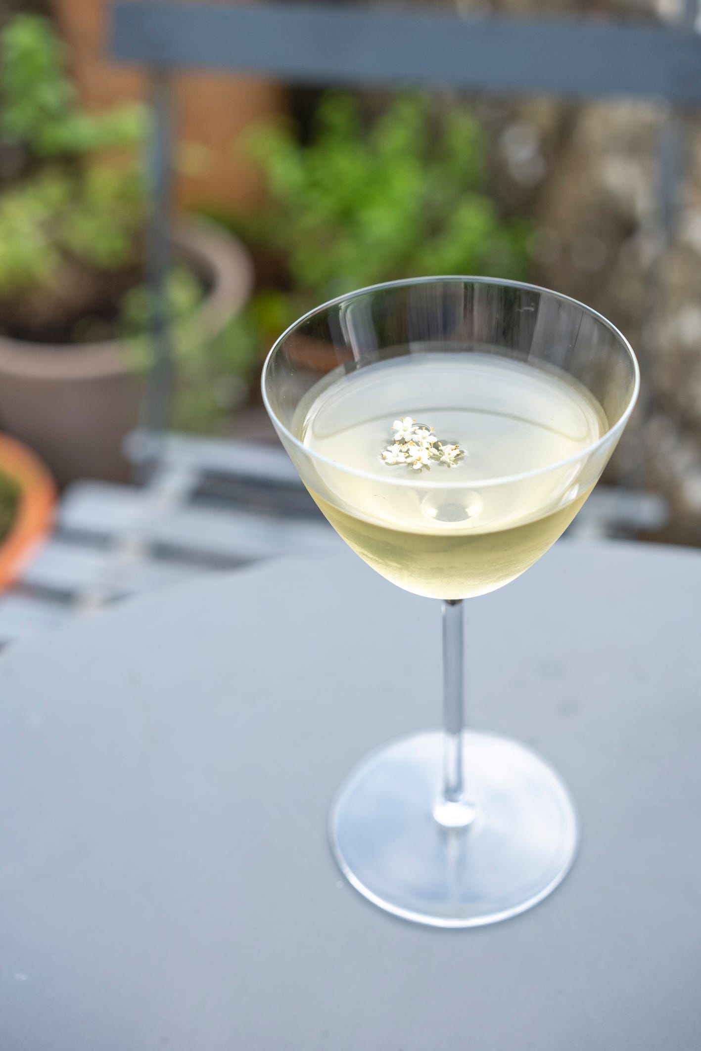 Elderflower martini