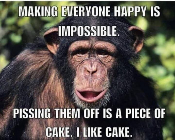 Pin on Funny Monkeys