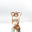 Rebel Ma Rising's avatar
