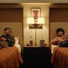 Twinless (what to expect)