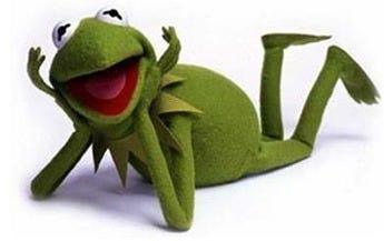 Meeting Kermit the Frog - That Shelf