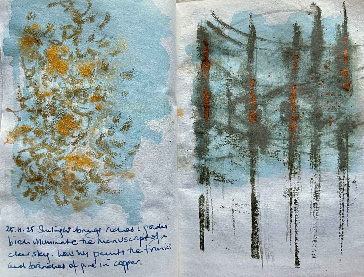 Sketches in ink and pastel of the last gold leaves on birch trees, and copper tinged Scots pine against a blue sky Sketches in ink and pastel of the last gold leaves on birch trees, and copper tinged Scots pine against a blue sky