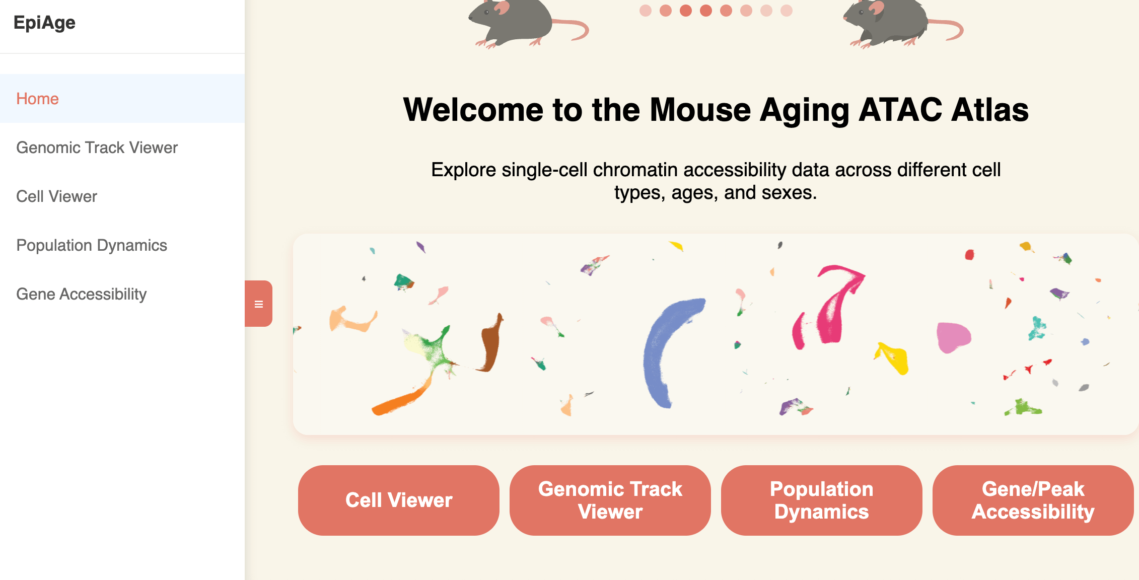 10 AI tools for Longevity Docs - by David Luu