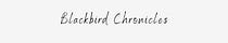 The Blackbird Chronicles