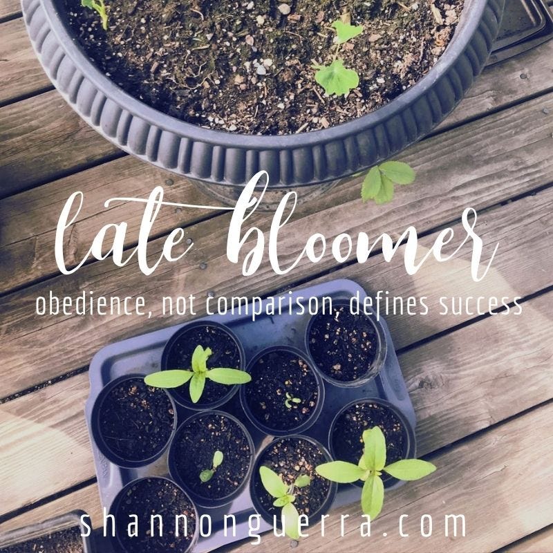 late bloomer: obedience, not comparison, defines success
