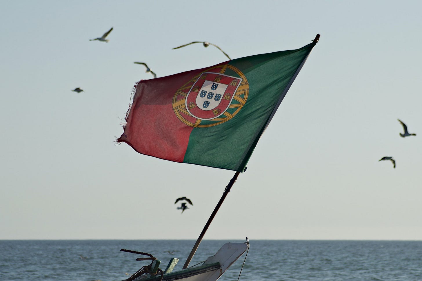 Det portugisiske folk fik rig mulighed for at lufte deres flag i sommeren 2016, da deres landshold vandt nationens første internationale mesterskab. Men kønt var det ikke. Her vejer de portugisiske farver på en fiskerbåd i Costa da Caparica ikke langt fra hovedstaden Lissabon. Foto: Pedro Santos (via Unsplash). Det portugisiske folk fik rig mulighed for at lufte deres flag i sommeren 2016, da deres landshold vandt nationens første internationale mesterskab. Men kønt var det ikke. Her vejer de portugisiske farver på en fiskerbåd i Costa da Caparica ikke langt fra hovedstaden Lissabon. Foto: Pedro Santos (via Unsplash).