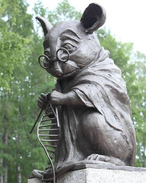 Lab Mouse Lab Mouse