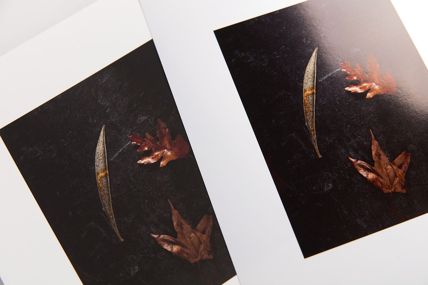 Baryta matte paper vs metallic gloss paper