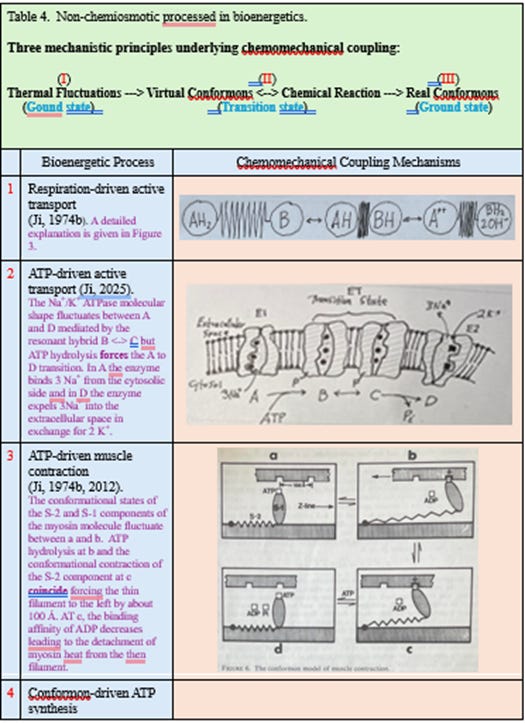 A screenshot of a cell diagram

AI-generated content may be incorrect.