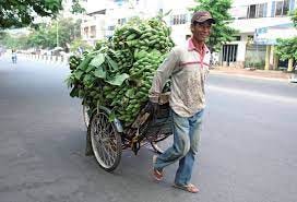 Measurement of the Informal Economy