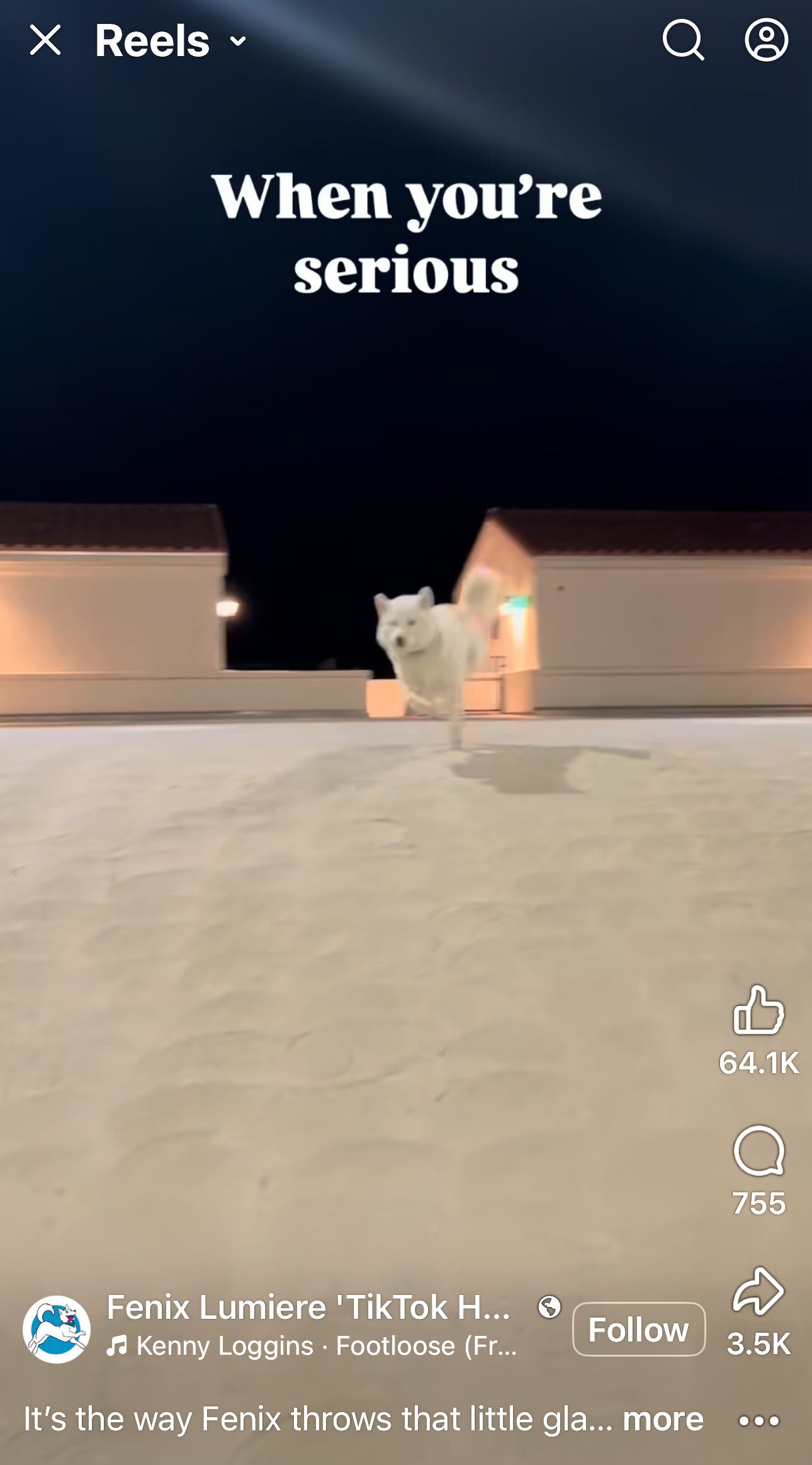 Image.heic Image.heic