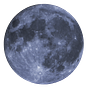 bluemoontery's avatar