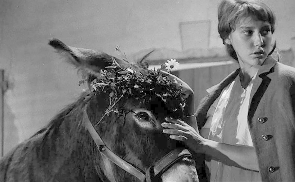Al azar, Baltasar': el milagro de Bresson | El Norte de Castilla Al azar, Baltasar': el milagro de Bresson | El Norte de Castilla