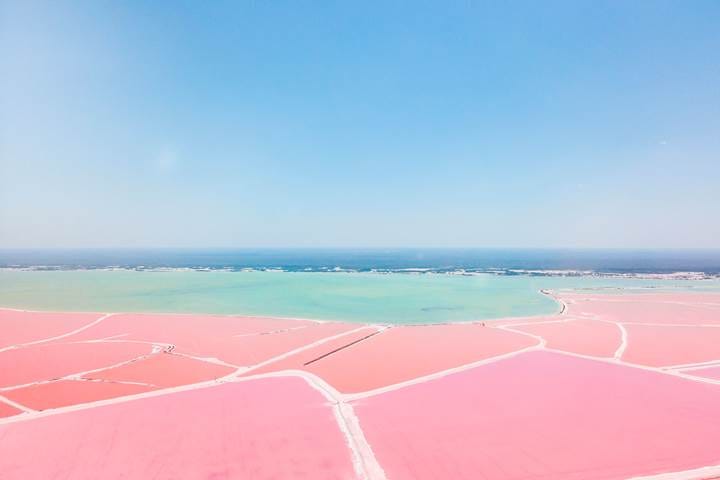 A pink and blue water

Description automatically generated with medium confidence