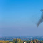 May the currents of exhaustion move us toward abolition