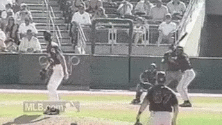 Randy Johnson Bird GIF - Randy Johnson Bird Pitch - Discover & Share GIFs