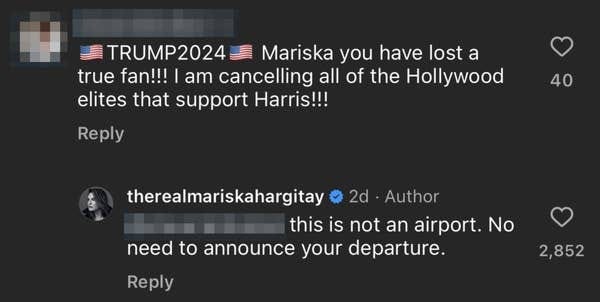 Screenshot of an Instagram comment where the first user expresses disdain for Mariska Hargitay for supporting Kamala Harris with Mariska&#x27;s reply