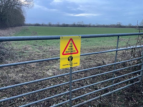 A brown-grey low building with two short towers against hedges and a blue sky; a sign in yellow and red reading 'you are being watched; a red lawn mower surrounded by branches and hedge with blue sky behind'