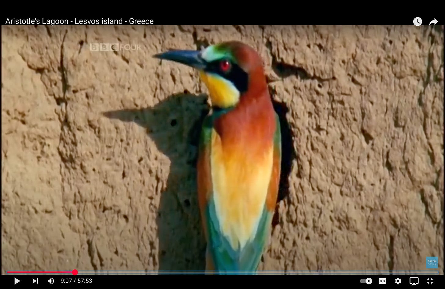 :aristotle's lagoon,BBC 4 2010 58 min..jpg :aristotle's lagoon,BBC 4 2010 58 min..jpg