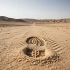 212 Ashes in the Wilderness: My Lenten Journey from Ritual to Reality