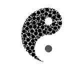 The Alternating Universe
