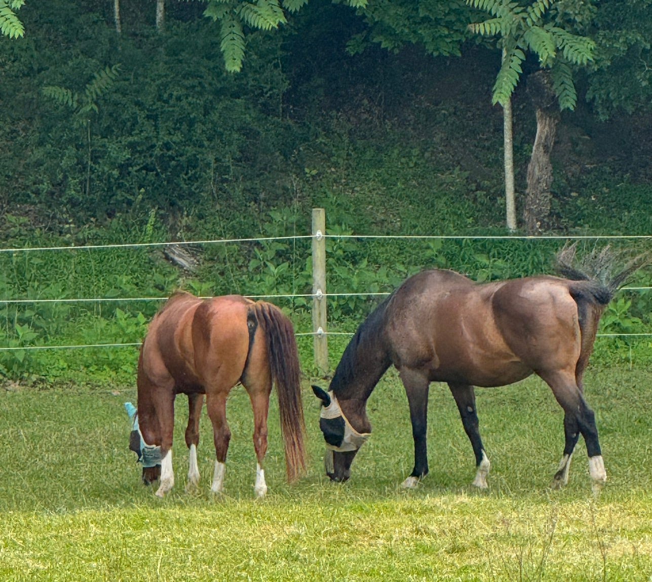 Musings on Interesting Times