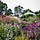 The Garden at Moorfield